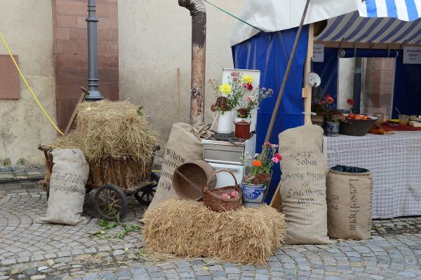 alemannischer-brotmarkt-endingen-hauser-dsc-580196E30947-2CFE-61C7-1A38-98902B2E60F6.jpg