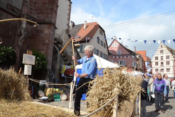 alemannischer-brotmarkt-endingen-hauserdsc-51441EBD584A-8741-CC08-1486-A2DABBD6700D.jpg