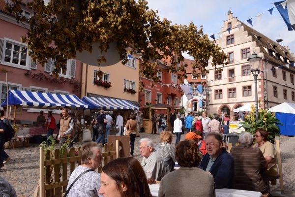 alemannischer-brotmarkt-endingen-hauserdsc-51780852EED4-57AA-1A82-BDDA-8C64C6CC3985.jpg