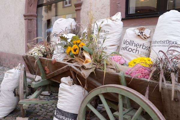 alemannischer-brotmarkt-endingen-hauserdsc-530007D79B93-75C1-C089-99F9-AD1916EA2AC0.jpg