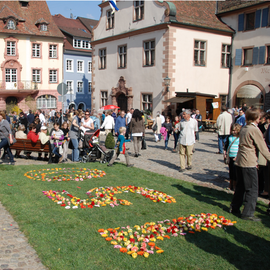 2012 bluehendes endingen