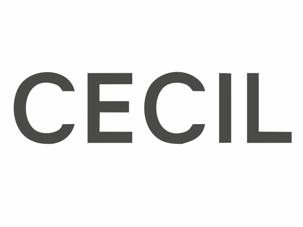 Cecil Store